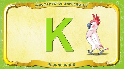 Multipedia Zwierząt. Litera K Kakadu