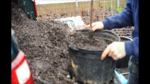 .     Potting  Nursery Stock and planting trees with a tree planter