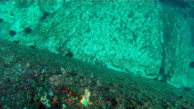 Venha mergulhar, pedalar, nos Mares, venha conhecer a ilha Oceânica da Rapada, Ubatuba, SP, Brasil, (6)