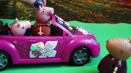 Peppa Pig. Sad Puppy and Daddy s important documents