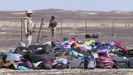 Putin vows revenge after confirming plane bombed