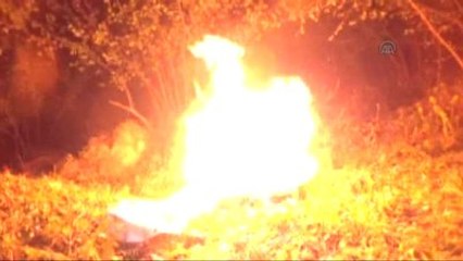 Fındık Üreticileri Zirai Don Riskine Karşı Nöbette