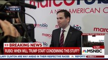 Marco Presser in FL: Donald Trump Is Not A Leader | Marco Rubio for President