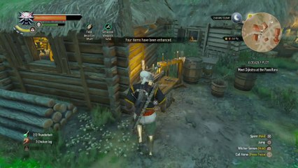 THE WITCHER 3 WALKTHROUGH PART 140 - TRISS MERIGOLD SCENE & A DEADLY PLOT