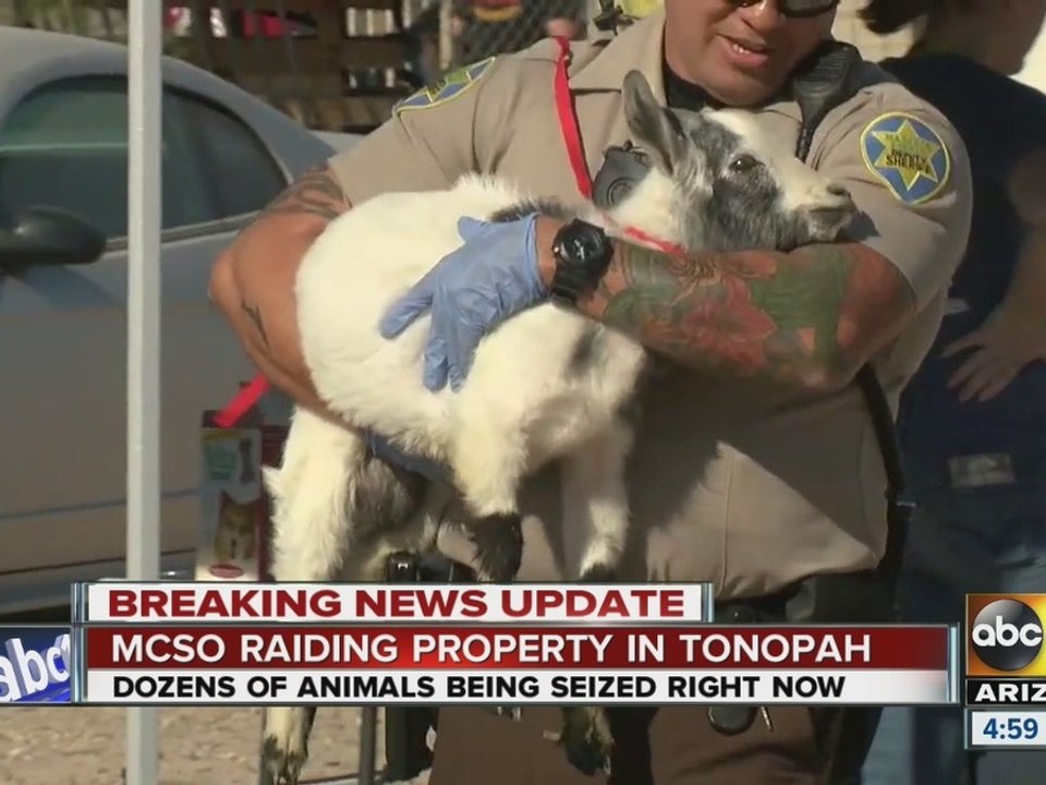 MCSO raiding property in Tonopah