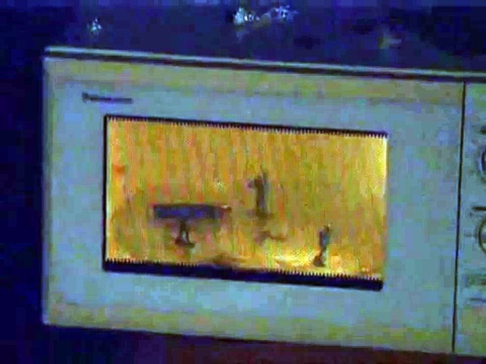 Lighter in Microwave