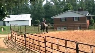 2012 Mule for Sale in North Carolina