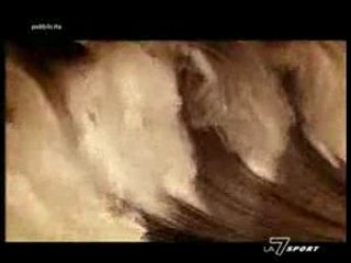 Luna Rossa Spot Telecom