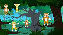 Five Big Tigers | Tigers