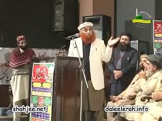 Allama Syed Riaz Hussain Shah Sahib on Gustakh e Rasool Salman Taseer