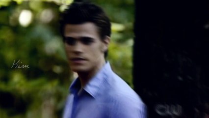 Stefan&Elena || Heavy In Your Arms {Collab with Leighton}