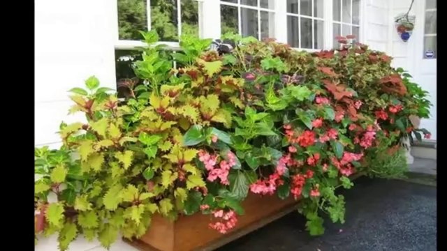 Ящики для цветов