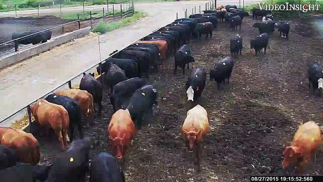 Feedlot Security | Buy Wireless Farm and Barn Security Camera Systems - Onsight247