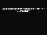 Catching the Big Fish: Meditation Consciousness and CreativityPDF Catching the Big Fish: Meditation