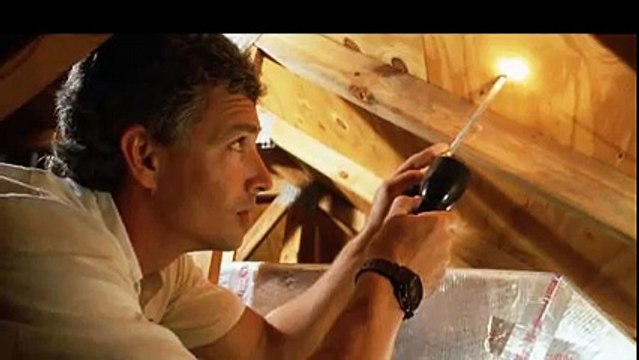 O'Connor Pest Control - Termite Control Dublin