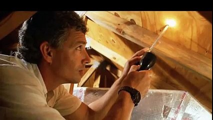 O'Connor Pest Control - Termite Control Dublin