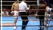 Julio Cesar Chavez vs Roger Mayweather II  Best Boxing Fights  Best Boxing Matches