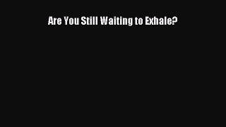 PDF Are You Still Waiting to Exhale? Free Books