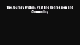 Download The Journey Within : Past Life Regression and Channeling PDF