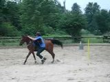 Entrainement pony games a pied a poney