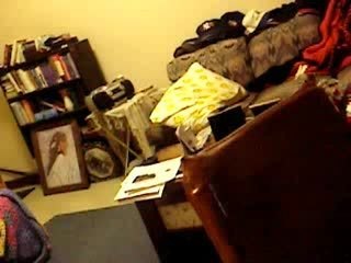 Picture 008
