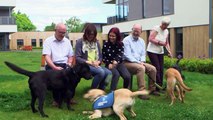 Cute dog reunited with parents and Grandad on Blue Peter CBBC