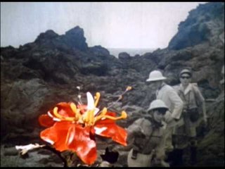 อุลตร้าแมน ซีรีส์ EP 05 ตอน สัตว์ประหลาดสีเขียว P2/3 เสียงไทย
