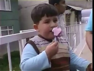 Asombroso gato con alas en Turquia | Amazing cat with wings in Turkey