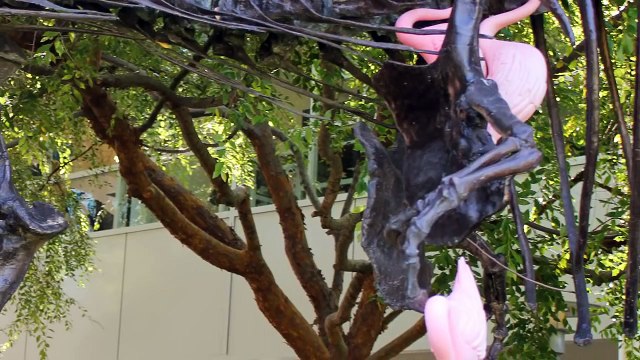 TOP 5 cosas que no sabías sobre GOOGLE - Top 10 Cosas