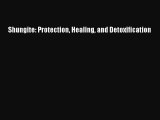 Shungite: Protection Healing and DetoxificationPDF Shungite: Protection Healing and Detoxification