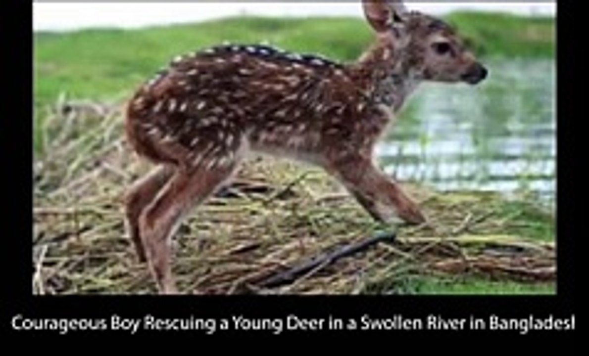 15 Heart Touching Moments of Finding Hope in Humanity songs 2016 best songs new songs upcoming songs latest songs sad songs hindi songs bollywood songs punjabi songs movies songs trending songs mujra dance Hot songs