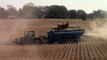 Lexion Combines Harvesting Soybeans
