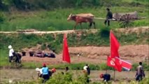 Lo más raro del mundo, COREA DEL NORTE (Documental) | The strangest thing in the world, North Korea (Documentary)