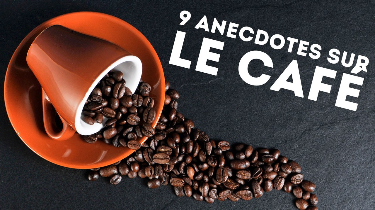 9 anecdotes surprenantes sur le café - QUI L'EÛT CRU ?