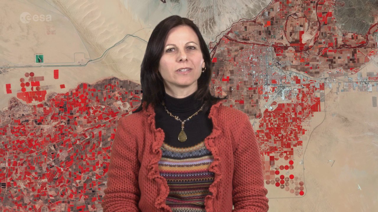 Earth from Space: Yuma chequerboard
