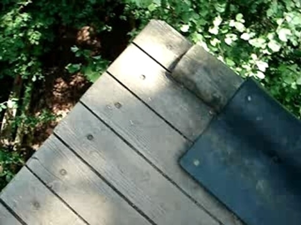 Un petit tour de tyrolienne ?