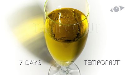 Lascia la birra nel bicchiere per 50 giorni: Guardate quello che succede!