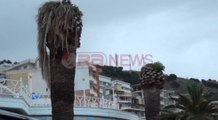 Pas Vlorës - Edhe në Sarandë do të priten palmat 40- vjeçare- Ora News-