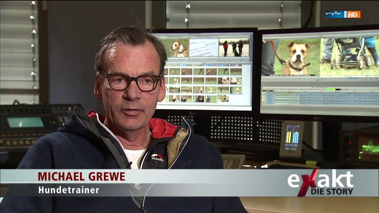 Exakt – Die Story: Gefährliche Hunde? Bilanz der Rasselisten