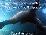 Snorkeling with a Sea Lion in The Galápagos!