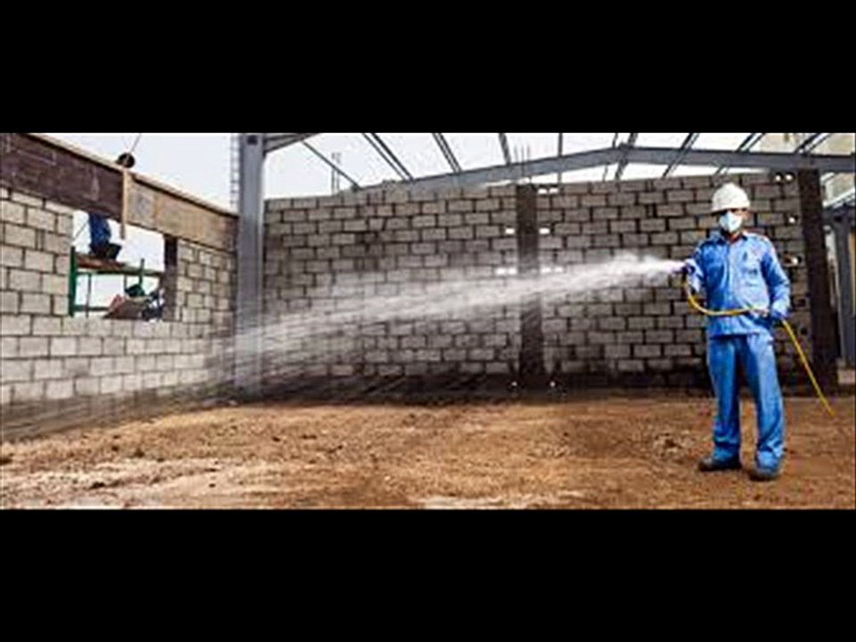 Ways To Eradicate Termites In Your House