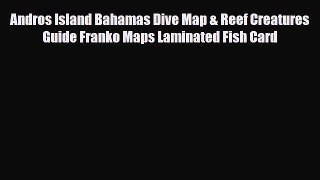 Download Andros Island Bahamas Dive Map & Reef Creatures Guide Franko Maps Laminated Fish Card