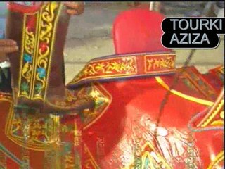 الشعروالفروسية الجواد العربي الأصيل والنشيد الرسمي لتونس