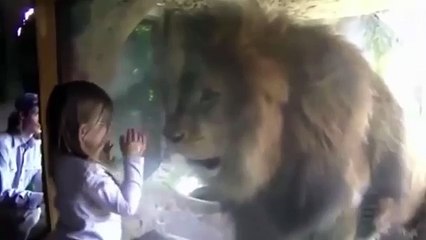 Little girl blows lion a kiss at the zoo. - Downloaded from youpak.com