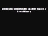PDF Minerals and Gems From The American Museum of Natural History PDF Book Free