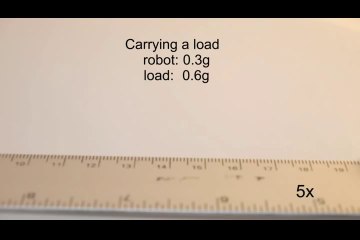 Un robot Origami minuscule se plie seul et marche ou nage !