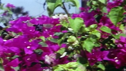 Gunguna Rahe Hai Bhanware Full Song With Lyrics | Aradhana | Rajesh Khanna Hit Songs