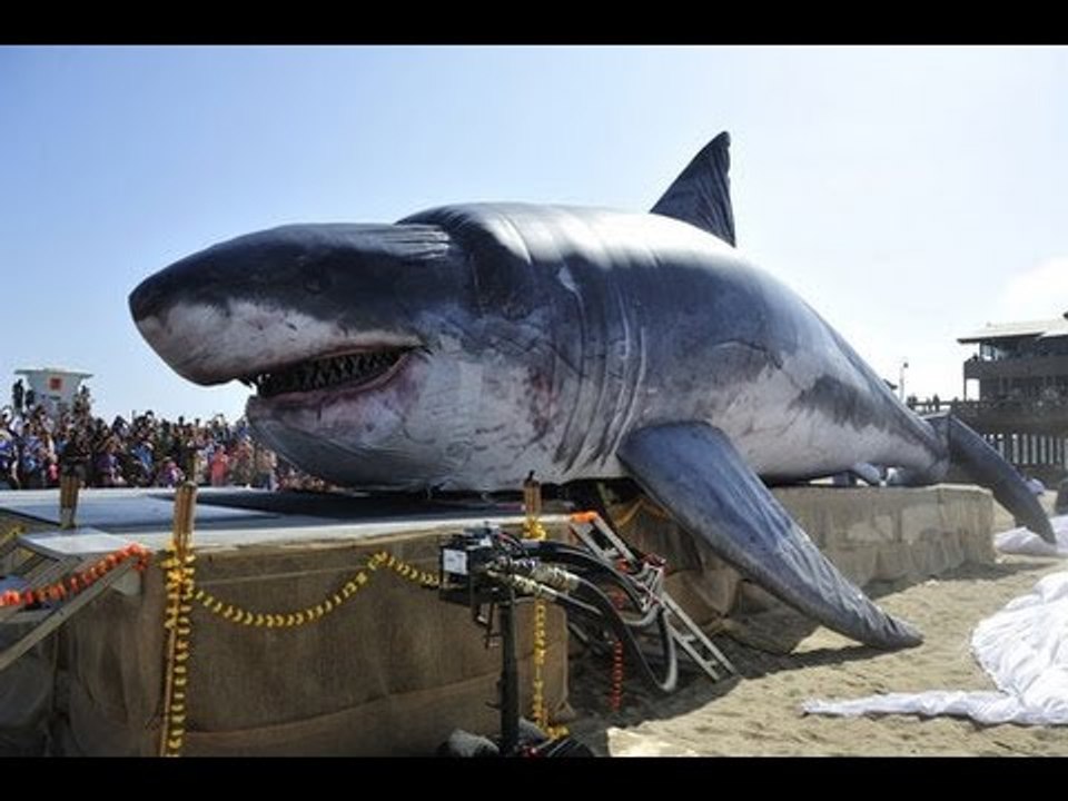 Real Megalodon Found - World's Biggest Shark Ever Found