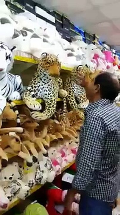 Lion insulted by a man