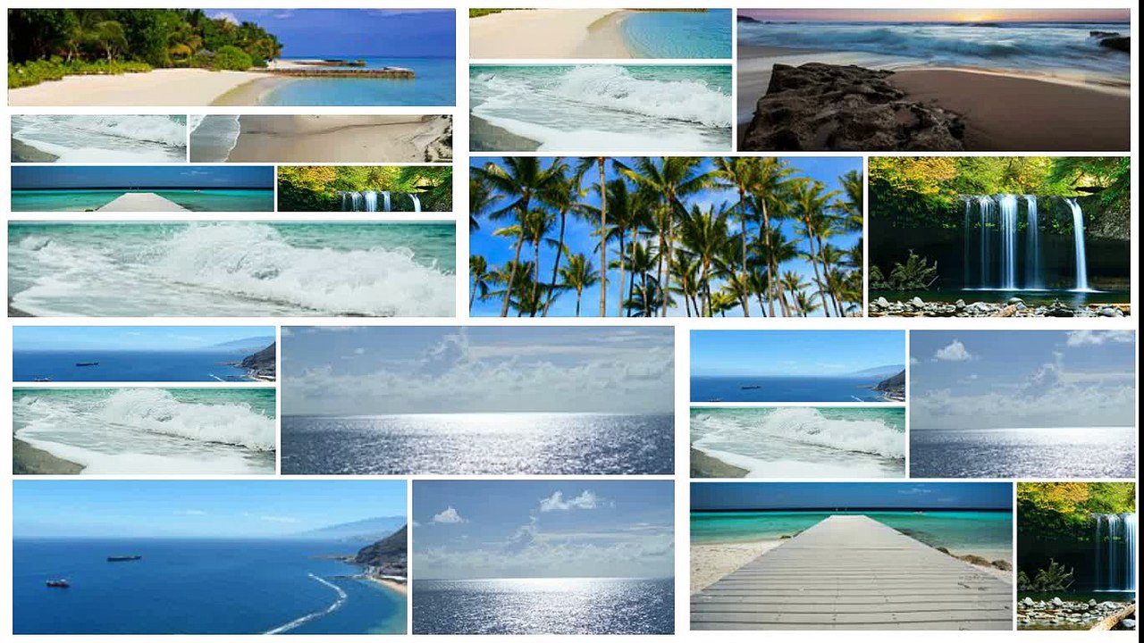 NY News Jean Luc Pouchet Webdynamic World General Commander 2008 2011. MPS 2.3 KEYWORDS LYCEE mairie JEAN LUC POUCHET de Reignac   Les Peintures   Cavignac   Cars   Saint Sauveur   Sablons   Saint Mariens   Cantenac   Queyrac   Illats